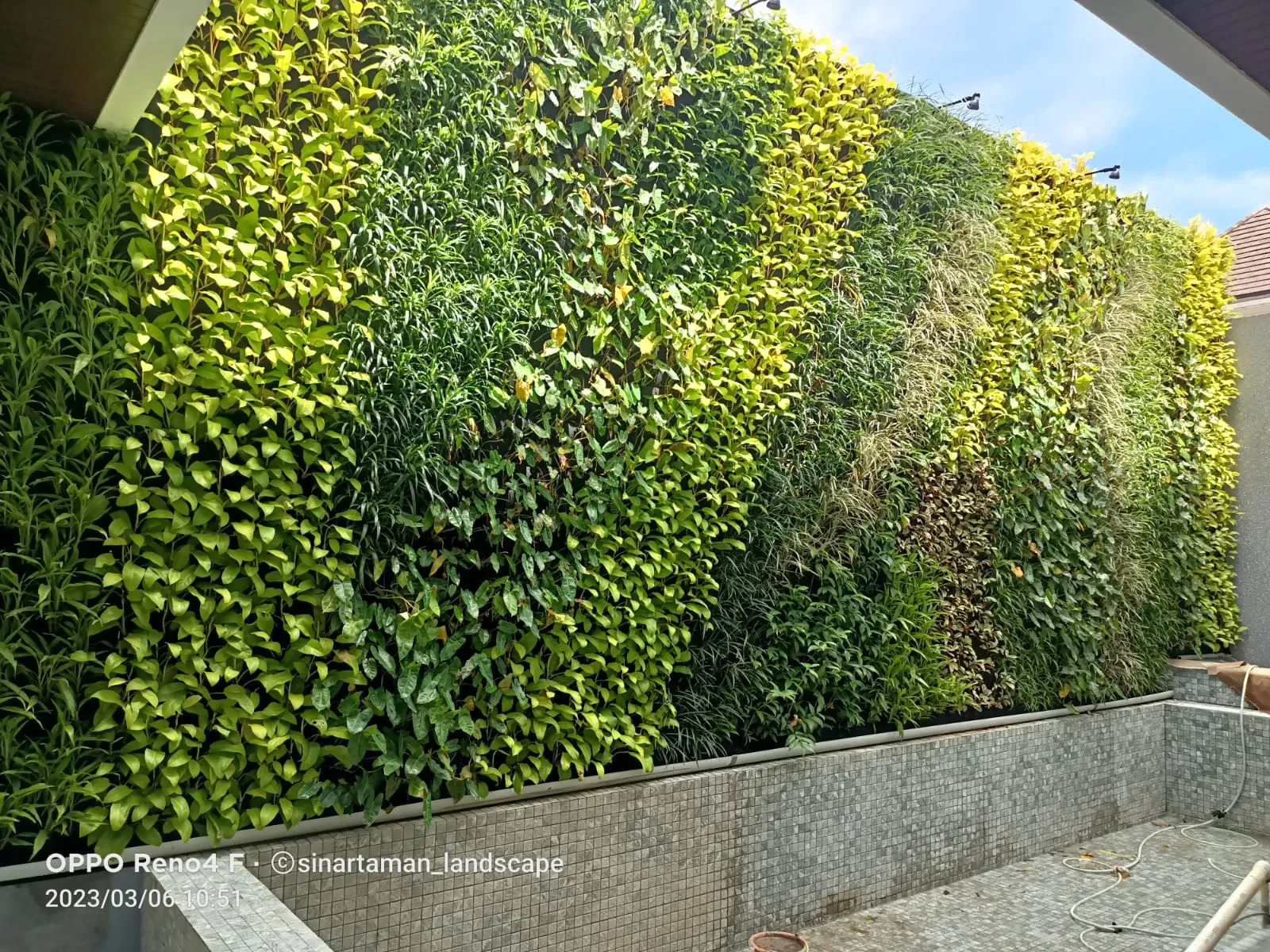 Jasa Pembuatan Vertical Garden untuk Rumah Minimalis dan Modern